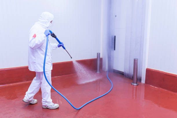 Professional Pressure Washing in Los Angeles, CA